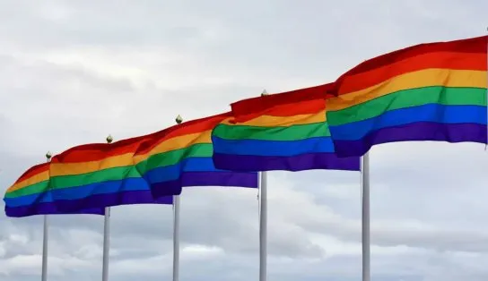 Coleta de dados da população LGBTQIA+ é uniformizada pelo serviço público