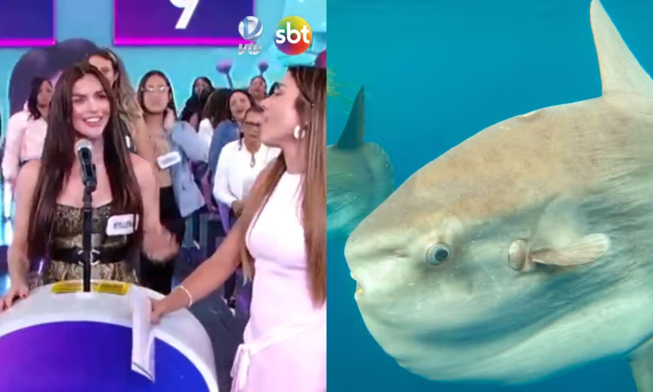 Programa Silvio Santos. Foto: SBT