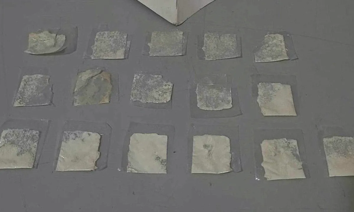 cocaína escola minas gerais