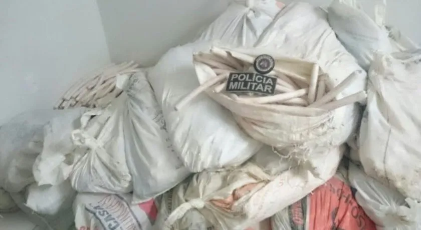‘VOVÓ BOMBA’: Idosa é presa com mais de três mil explosivos em Ibitiara