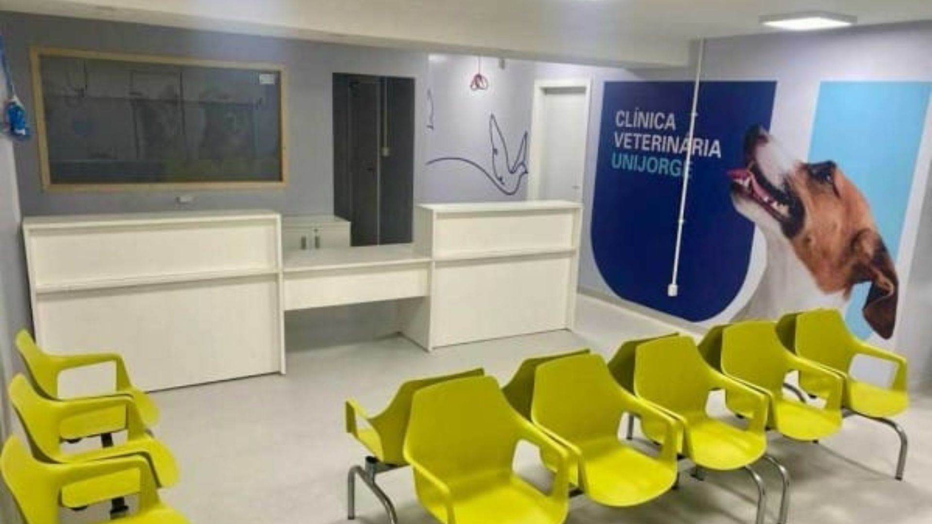 Ação promove serviços contra câncer de mama em pets. Foto: Divulgação