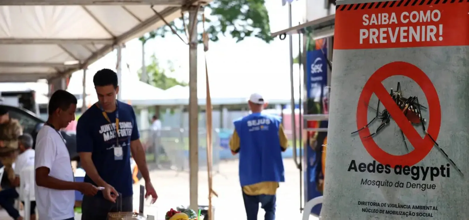 Casos de dengue caem 75% no Brasil em 2026, aponta Ministério da Saúde