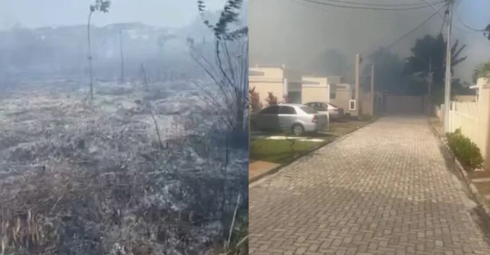 Incêndio atinge reserva indígena em Camaçari