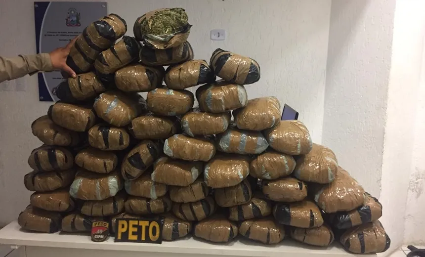 Maconha avaliada em R$ 50 mil é apreendida no Parque das Bromélias