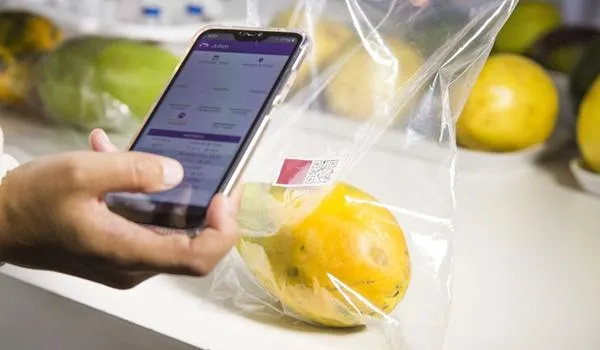 Embrapa desenvolve sensor que avalia grau de maturação de frutas