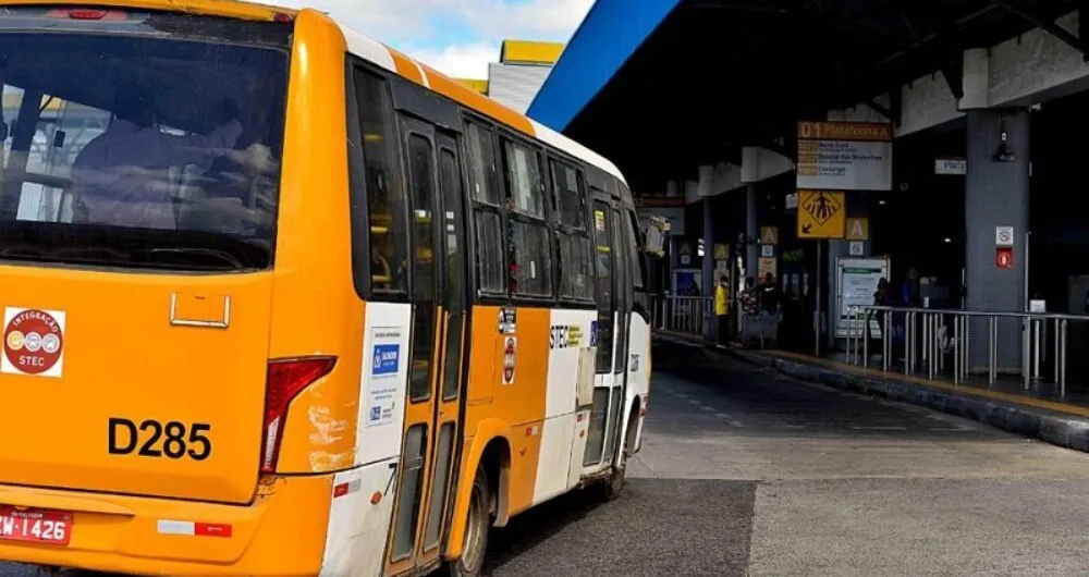 Imagem traseira de ônibus complementar 