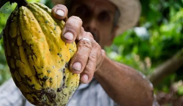 Governo realiza primeira entrega de títulos de terra de agricultores registrados em cartório digitais