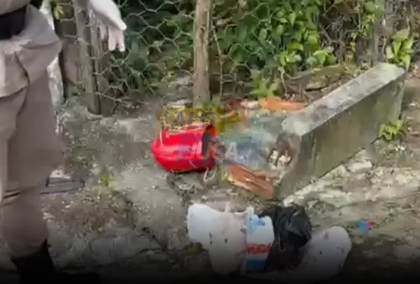 Polícia prende mãe de bebê encontrado morto em saco plástico em São Sebastião do Passé 