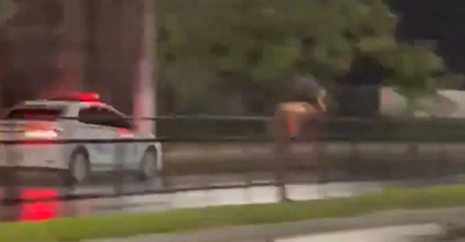 Homem usa cavalo para fugir da polícia e animal acaba morrendo atropelado; veja vídeo