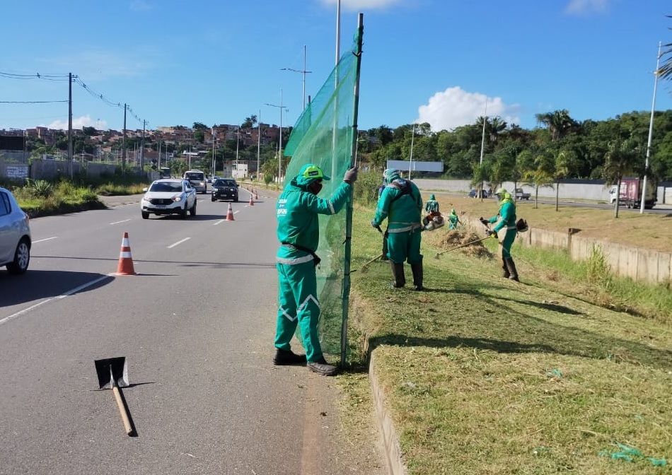 Foto: Reprodução | Limpurb