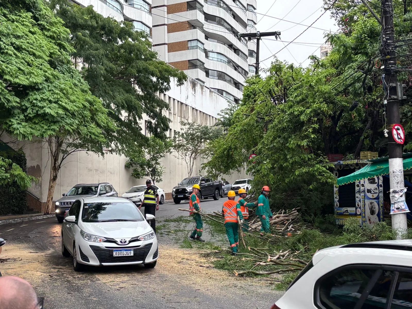 Árvore cai em Salvador após madrugada de chuva; veja previsão do tempo