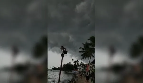 "Chuva de gafanhotos" em Morro de São Paulo desespera internautas, que falam em sinal dos tempos; veja vídeo