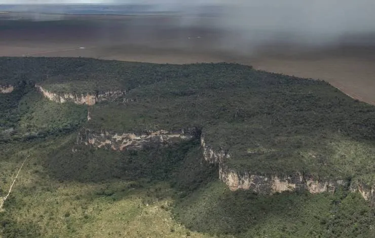 Bahia tem segundo maior avanço em desmatamento no Cerrado no mês de setembro
