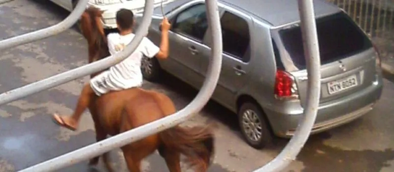 MALDADE: Moradores denunciam situação de maus-tratos e abandono contra cavalos na Federação