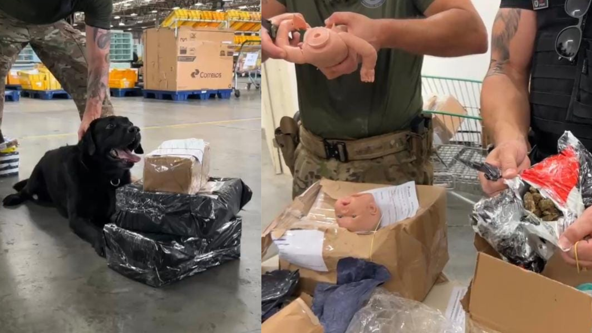 Polícia apreende mais de 50 encomendas com drogas em centro logístico dos Correios de Simões Filho. Foto: Reprodução / Pedro Moraes / Ascom PCBA