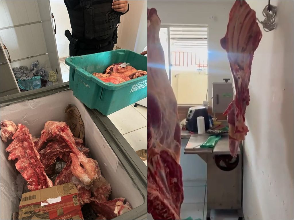 Segundo as investigações, a mulher era dona do açougue clandestino e vendia a carne roubada em fazendas do interior da Bahia.Foto: Divulgação/PCBA
