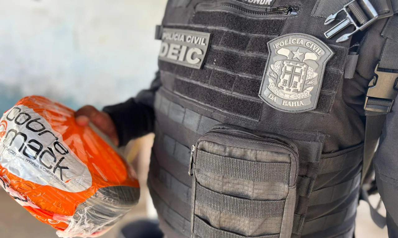 Polícia Civil