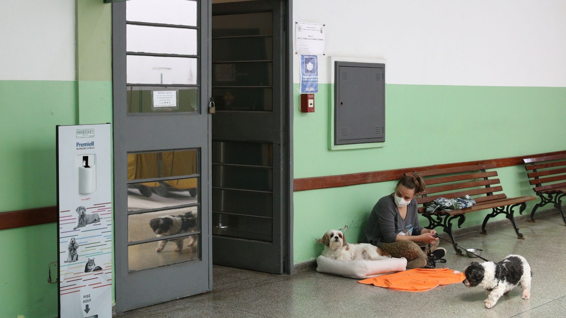 Cl&iacute;nicas veterin&aacute;rias passam a ter que denunciar casos de maus-tratos; Foto: Rovena Rosa/Ag&ecirc;ncia Brasil