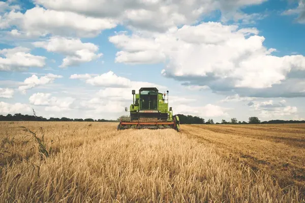 Exportações do agronegócio baiano: para onde vai a produção do estado?