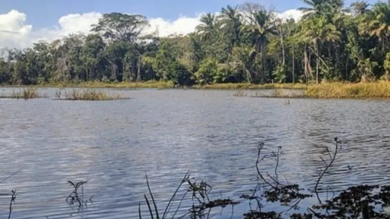 Vereadores ignoram MP-BA e aprovam mudanças em proteção ambiental de Jaguaribe