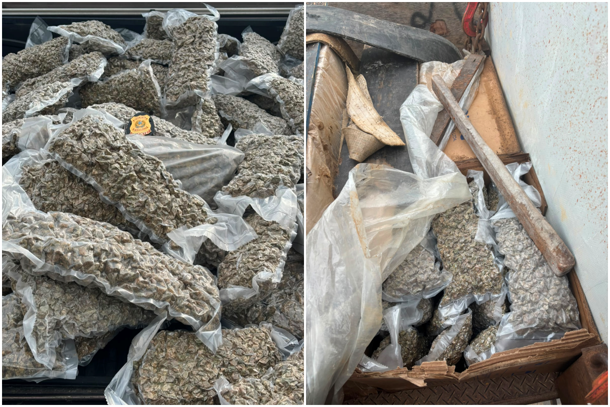 A PF apreendeu uma carga de mais de 100 kg de maconha que havia sido enviada do Rio de Janeiro para Itabela, na Bahia, e estava escondida em um ve&iacute;culo. Foto: PF