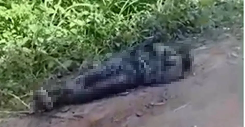 Corpo carbonizado é encontrado no bairro de Campinas de Pirajá, em Salvador