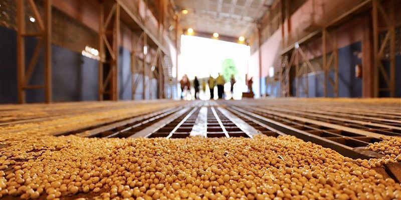 O governo baiano realizou um Estudo de Viabilidade Técnica e Econômica (EVTE) para FIOL-Porto Sul, que já foi aprovado pela ANTT/Foto: Reprodução  