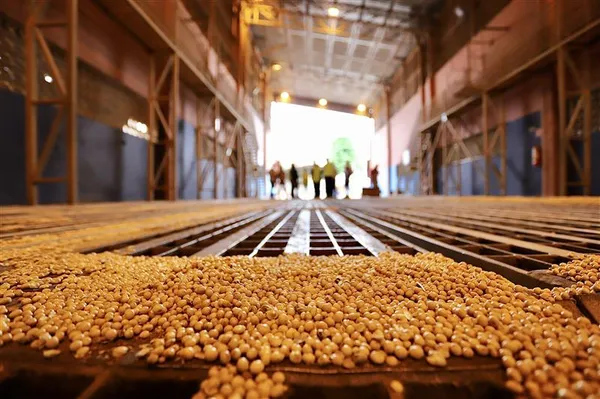 O governo baiano realizou um Estudo de Viabilidade Técnica e Econômica (EVTE) para FIOL-Porto Sul, que já foi aprovado pela ANTT/Foto: Reprodução