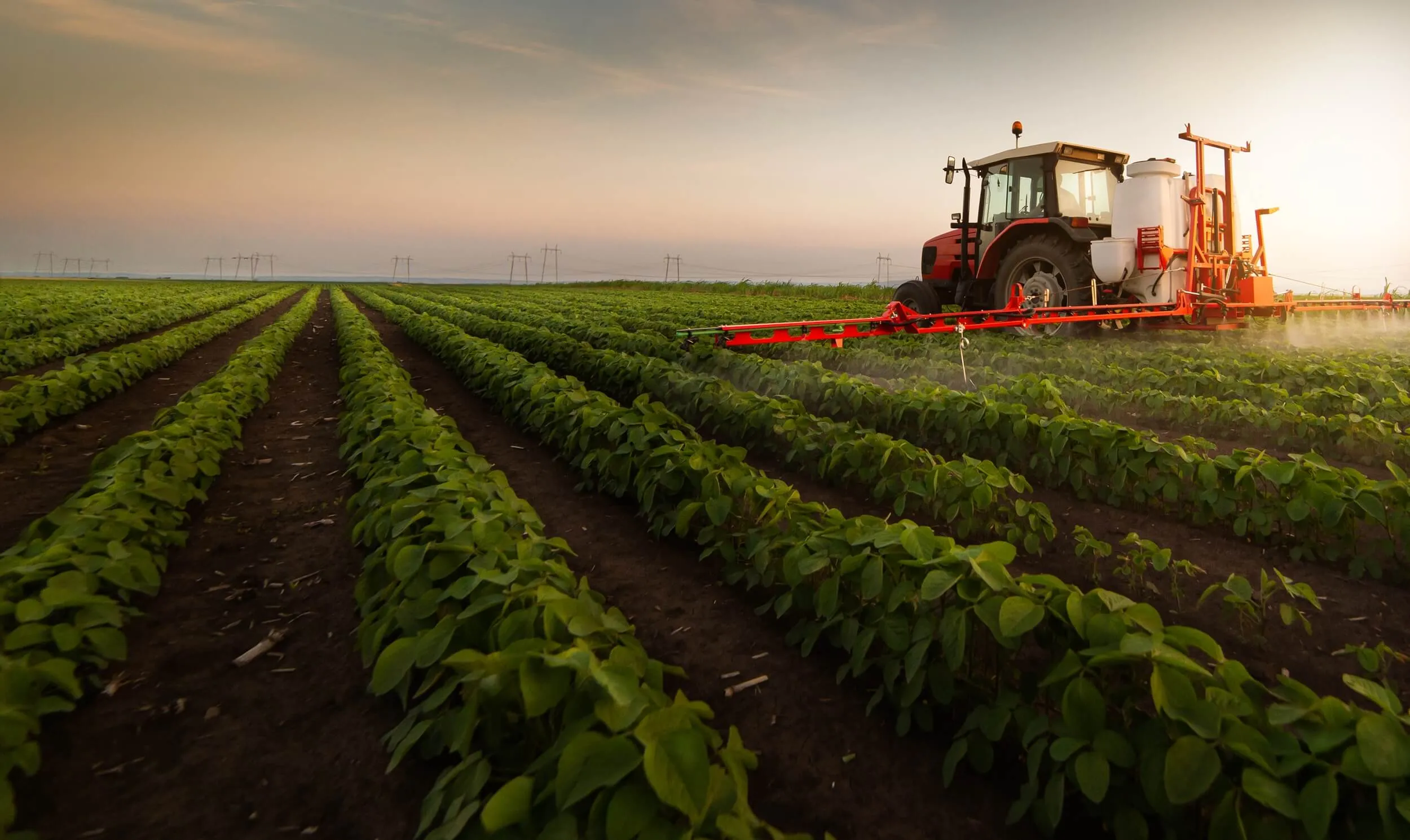 EUA é ultrapassado por Espanha como destino do agro baiano em julho
