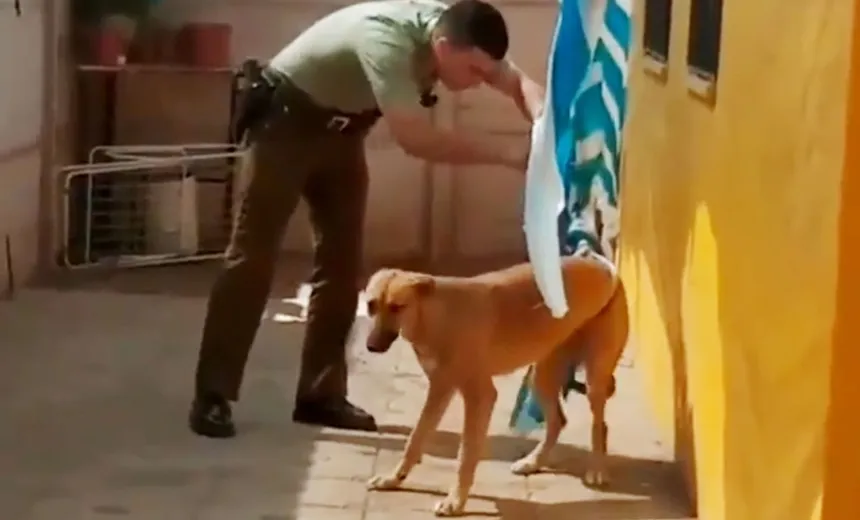 Policial liberta cachorro preso em toldo e ganha ‘abraço’ do animal; vídeo