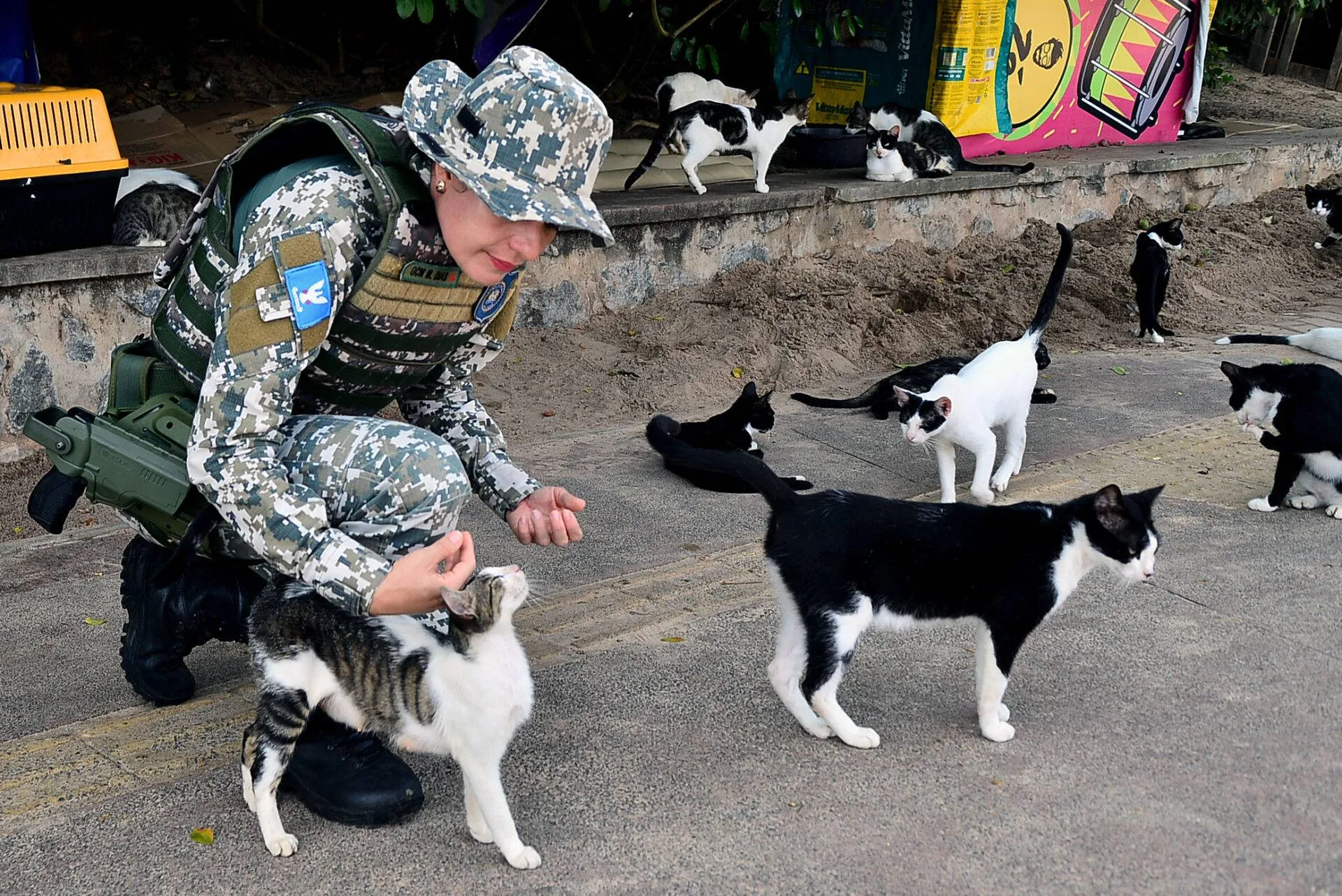 Câmeras de alta resolução são instaladas em Salvador para coibir abandono animal