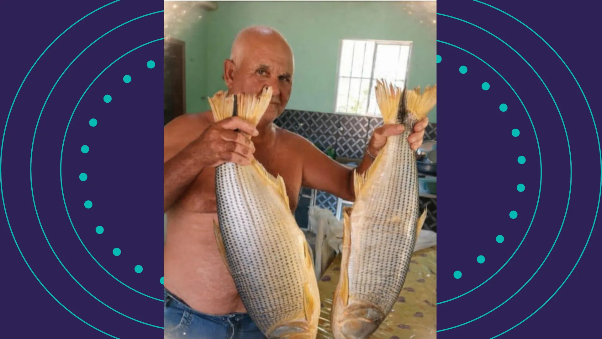 Idoso é atacado por enxame de abelhas e morre na zona rural da Bahia