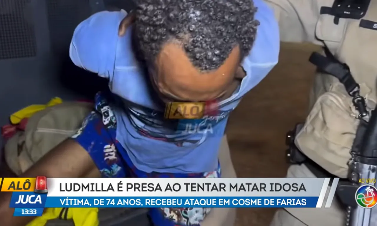 Suspeito de esfaquear idosa de 73 anos