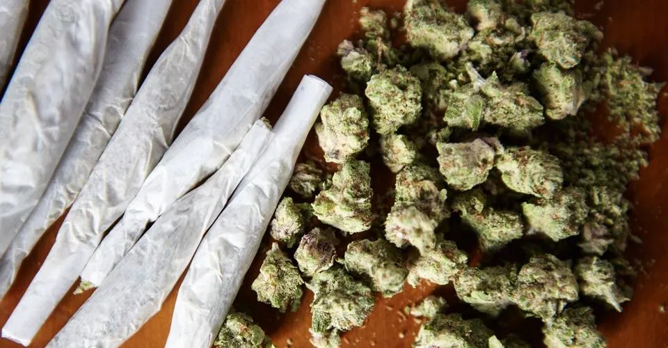 Maconha é apreendida pela Polícia Militar em Porto Seguro; suspeitos fugiram