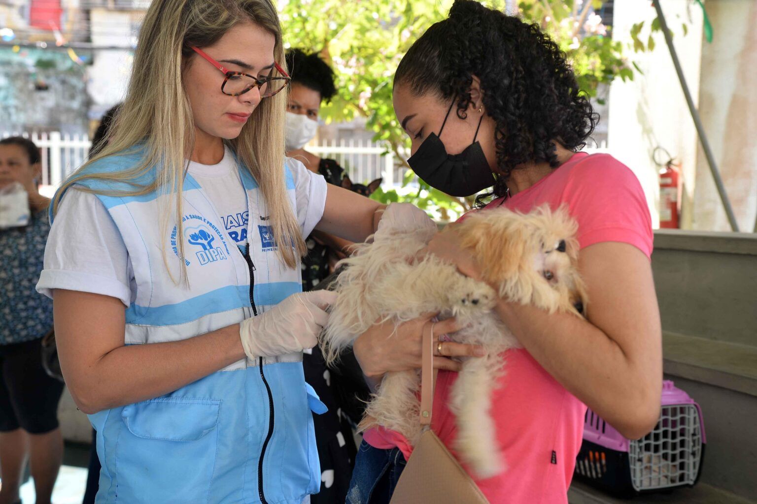 Vacinação antirrábica em Salvador. Foto: Jefferson Peixoto / Secom PMS