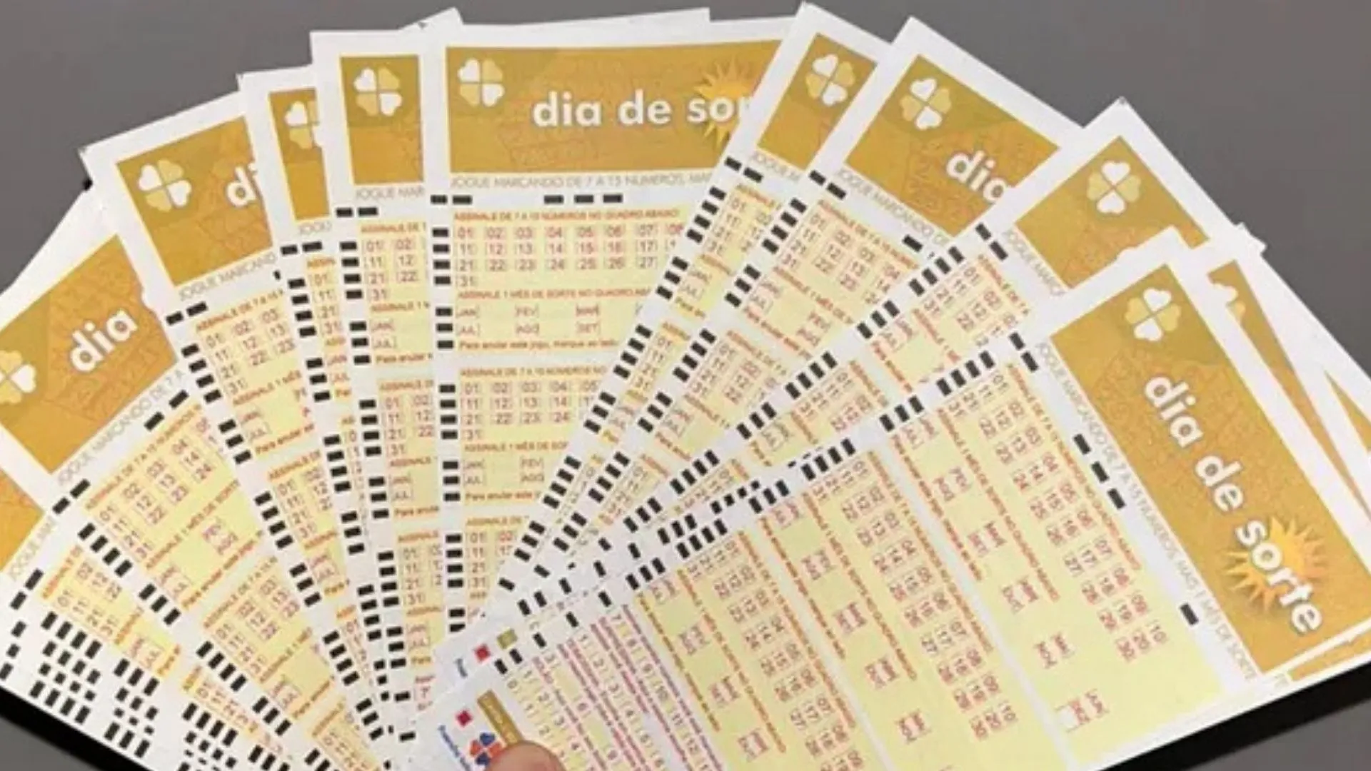 Dia de Sorte