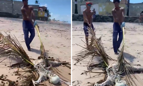 Ossada humana &eacute; encontrada por banhistas na Praia de Jau&aacute;; assista.Foto: Reprodu&ccedil;&atilde;o | X