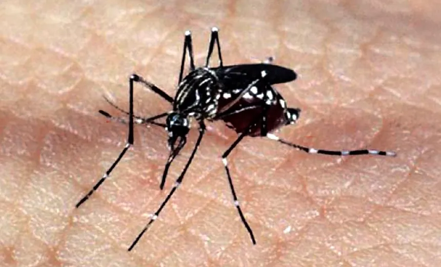 Casos de dengue na Bahia aumentaram 301% em 2019; Feira de Santana lidera