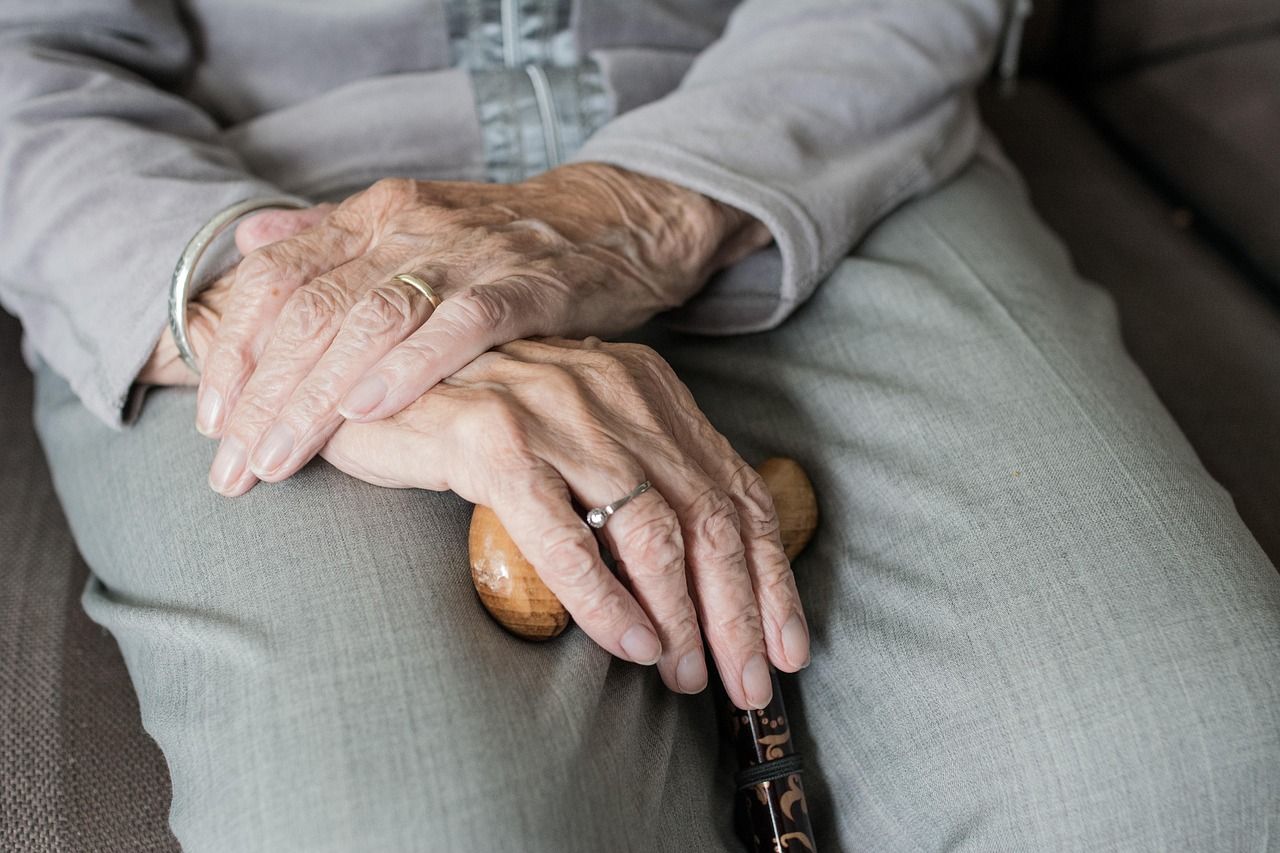 Segundo ministra da Gestão e Inovação em Serviços Públicos,  há previsão de que 180 mil pessoas se aposentem do serviço público nos próximos 10 anos. Foto: Sabine van Erp / Pixabay