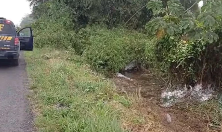 O Ve&iacute;culo Tombou Em Uma &Aacute;rea De Vegeta&ccedil;&atilde;o &Agrave;s Margens Da Rodovia Ap&oacute;s Atingir Algumas &Aacute;rvores