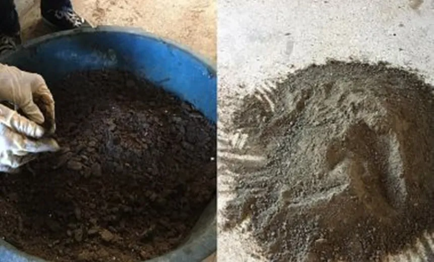 Instituto da UFBA transforma óleo encontrado em praias em carvão