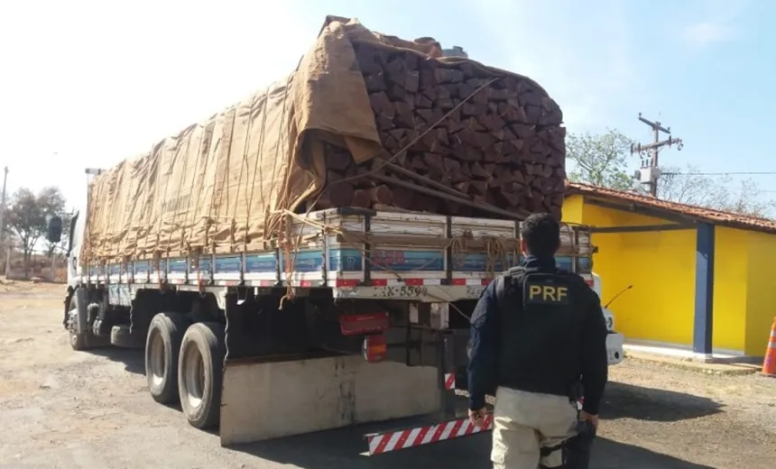Carga de madeira nativa é apreendida em Barreiras; condutor tinha documentação vencida
