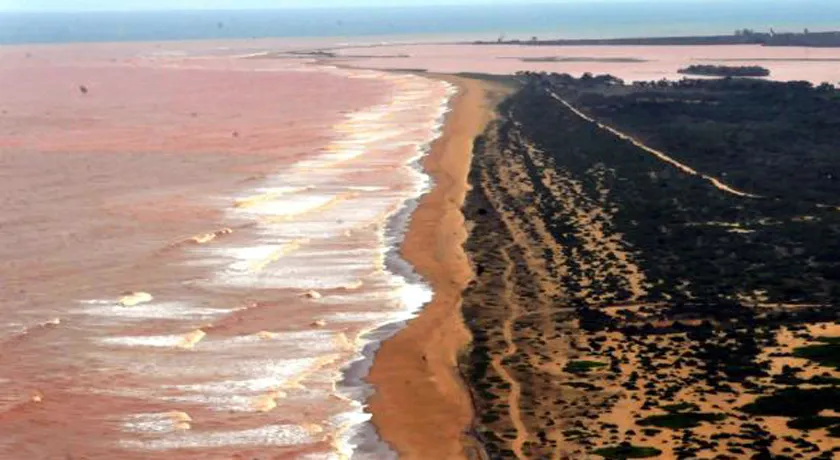 Lama vista em Abrolhos pode ser da barragem de Mariana, diz Ibama