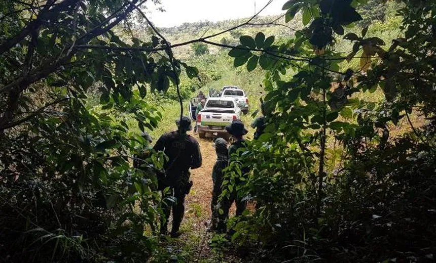 Operação identifica 49,2 hectares de Mata Atlântica desmatados no sul da Bahia