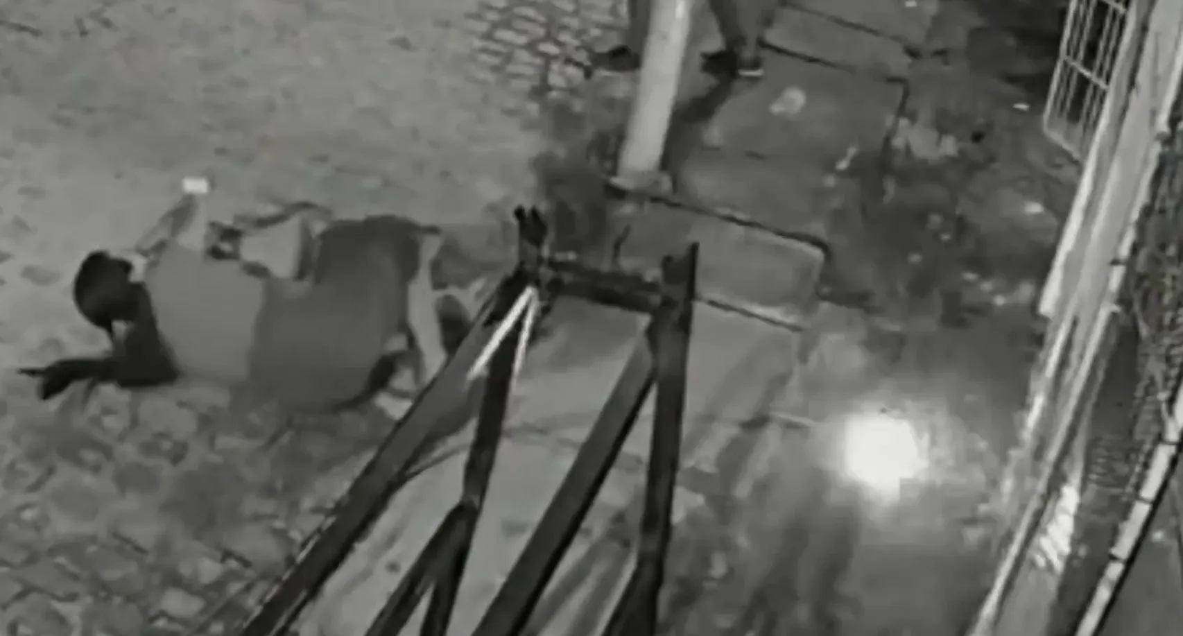 VÍDEO: Casal leva choque após fio de energia cair de poste em Recife