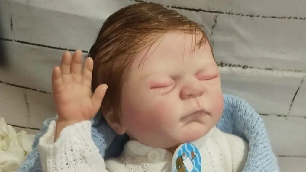 Deputado Quer Proibir Atendimento a Bebês Reborn No Sistema Público De Saúde