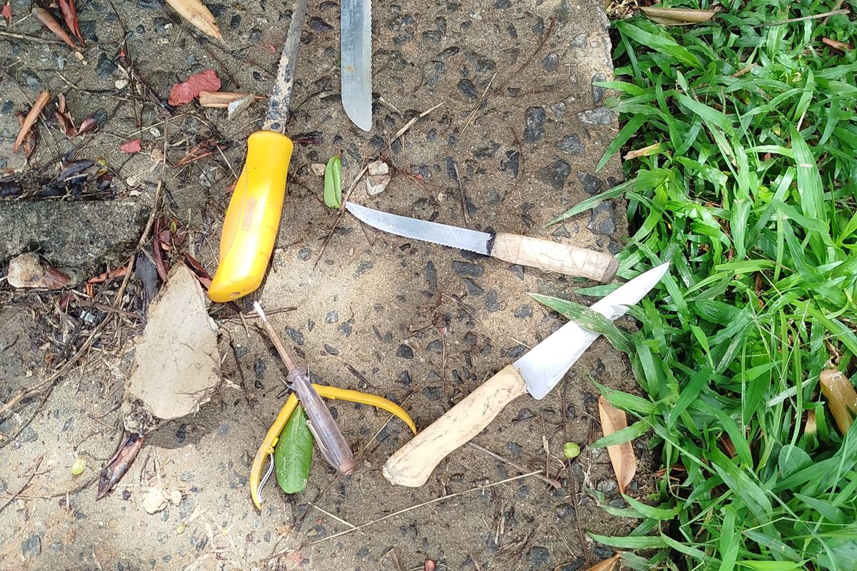 Foto: Divulga&ccedil;&atilde;o GCM 