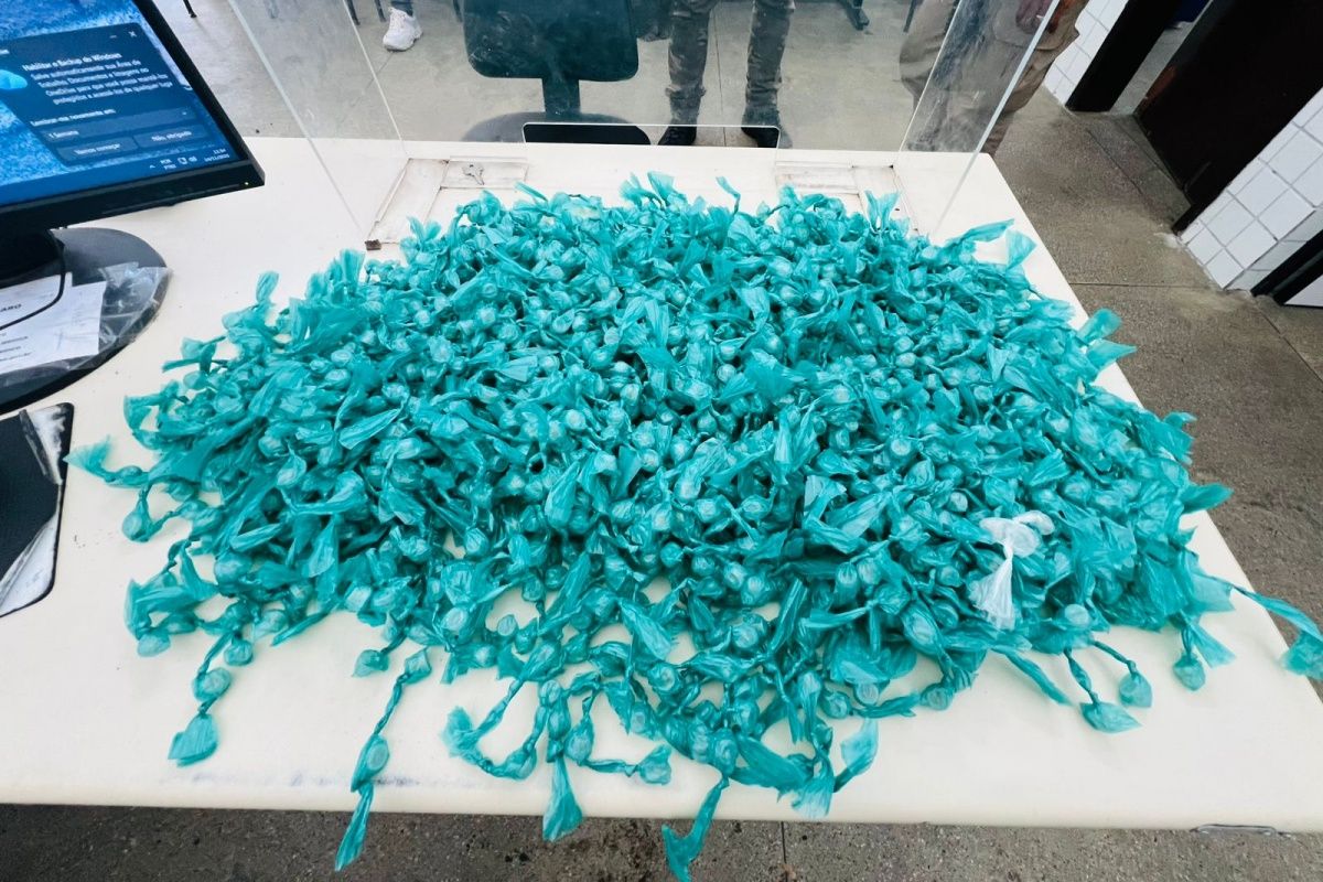 As mais de mil pedras de crack encontradas em Candeias foram achadas enterradas dentro de um balde. Foto: PMBA