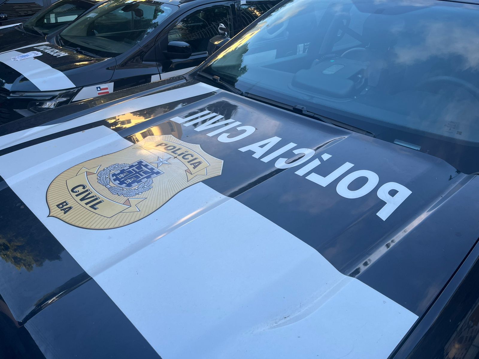 Entenda como funcionava o golpe aplicado por uma mulher, presa nesta terça-feira (25), na cidade de Paulo Afonso. Foto: Ascom/PCBA