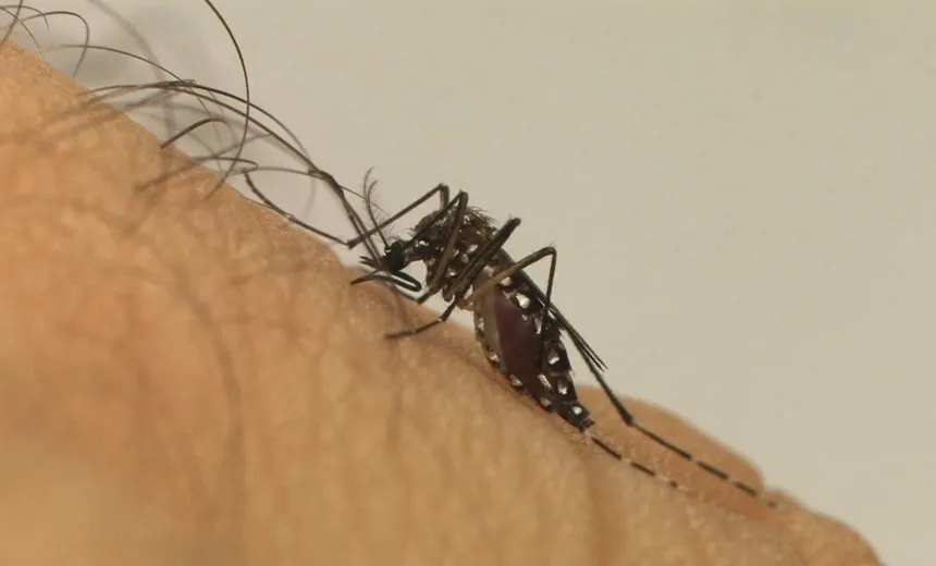 Sesab emite alerta sobre aumento de casos de dengue em 2019; Salvador tem redução